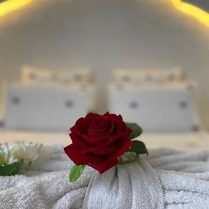 Standaard Double Kamer